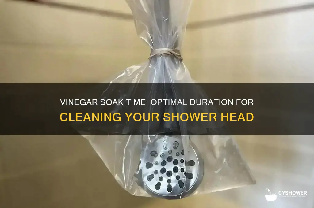 how long do i leave my shower head in vinegar