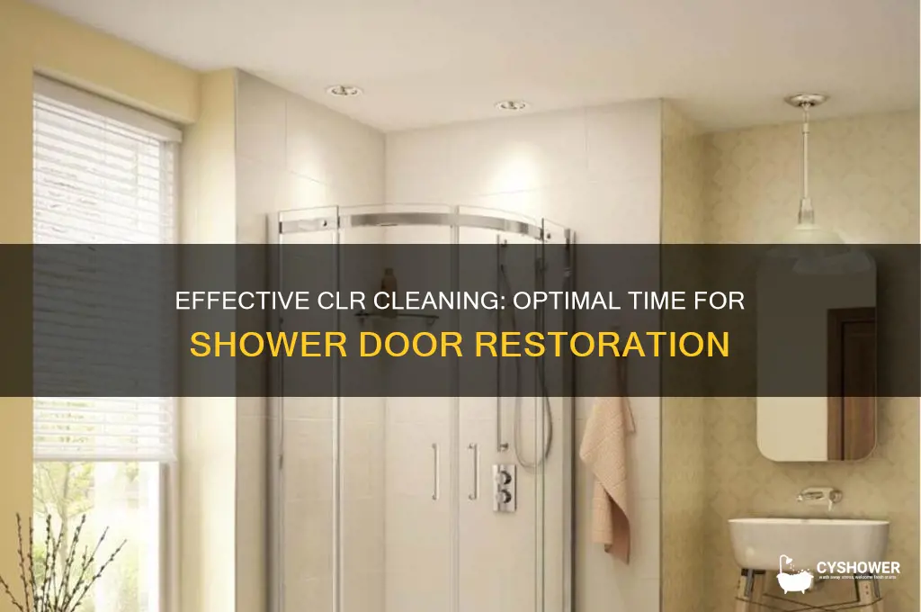 how long do leave clr on the shower door