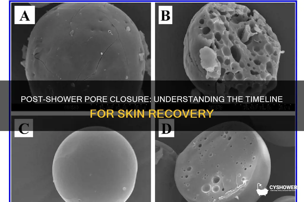 how long do pores take to close after shower