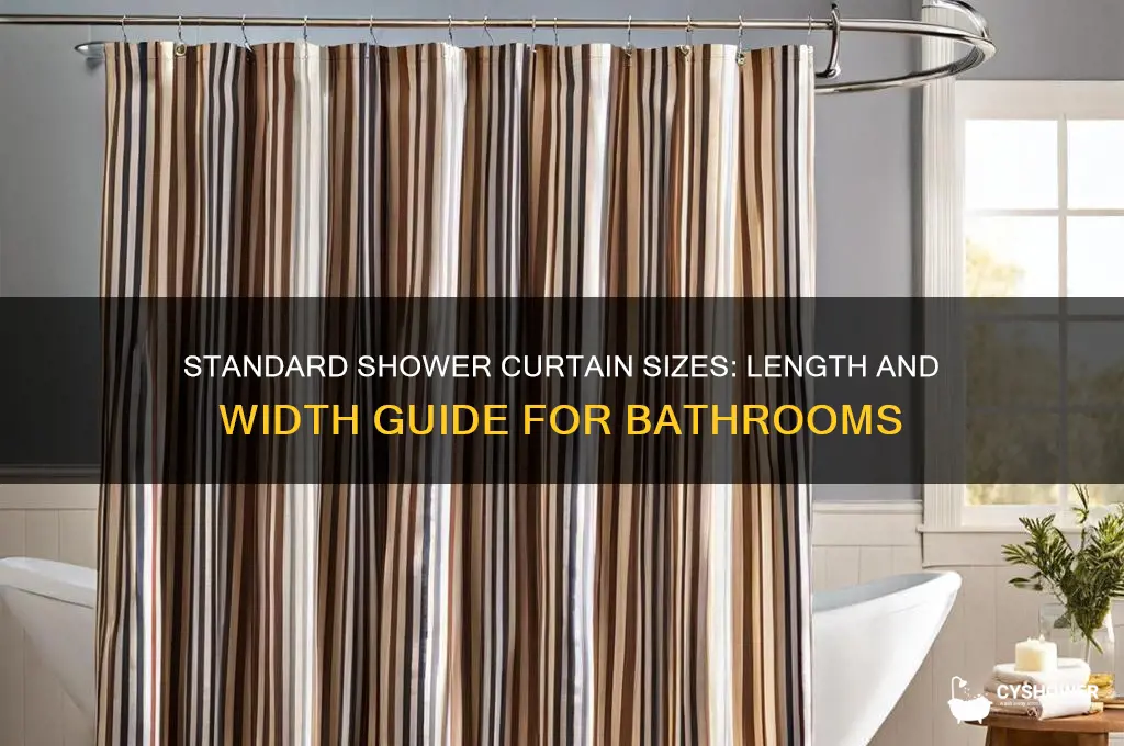 how long do shower curtains come