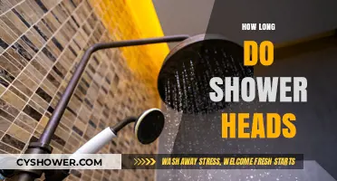 Shower Head Lifespan: Factors Affecting Durability and Replacement Timing