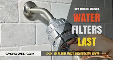 Shower Water Filters Lifespan: How Long Do They Last?
