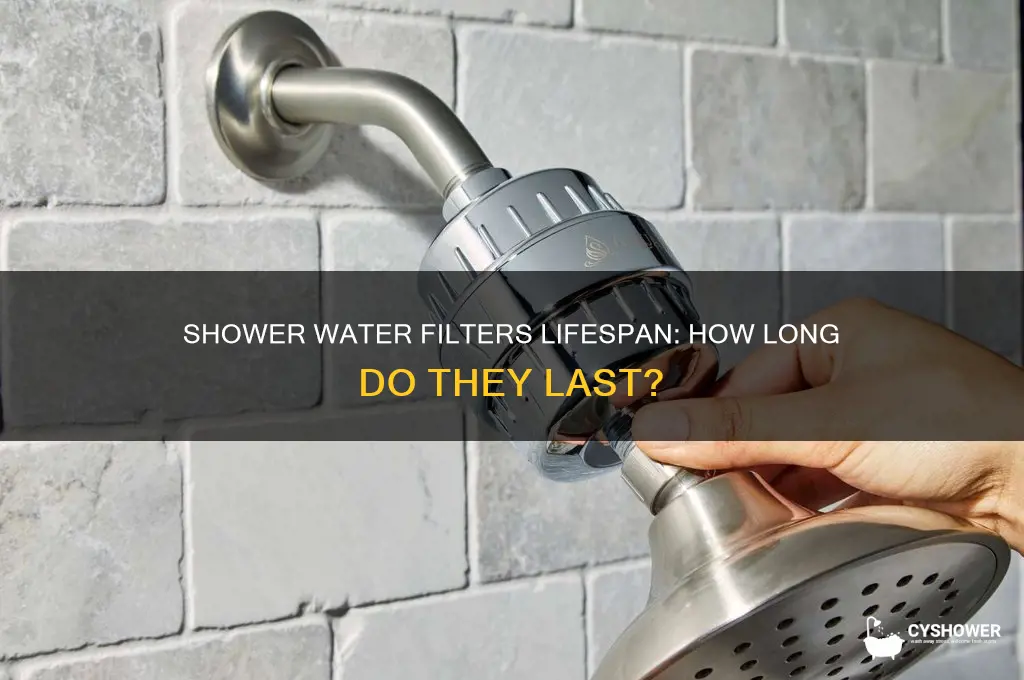 how long do shower water filters last