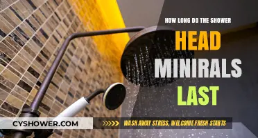 Shower Head Mineral Lifespan: How Long Do They Really Last?