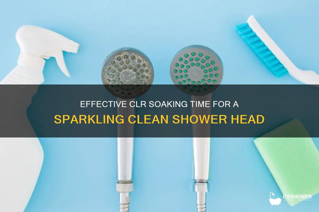 how long do you soak a shower head in clr