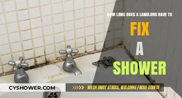 Landlord's Shower Repair Timeline: What Tenants Need to Know
