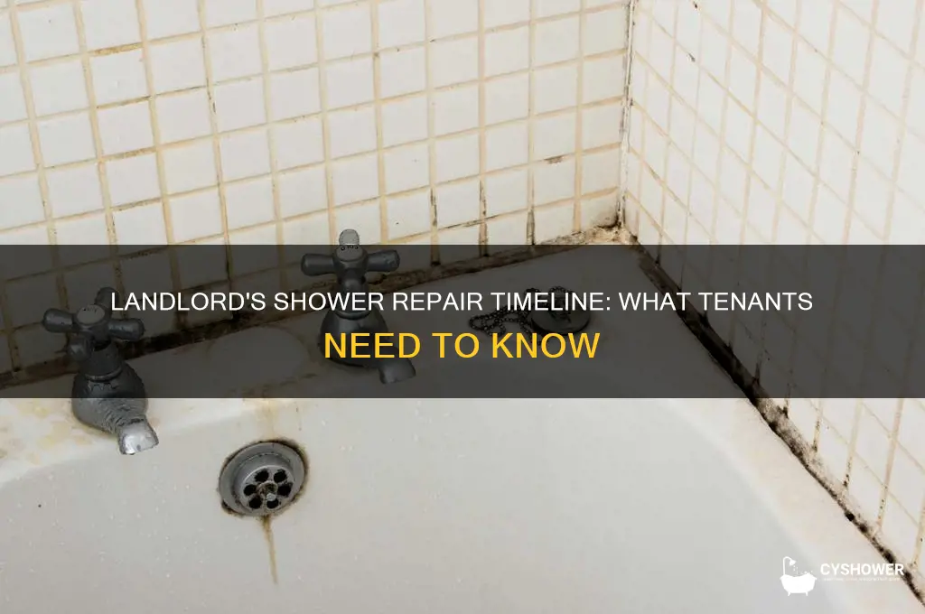 how long does a landlord have to fix a shower
