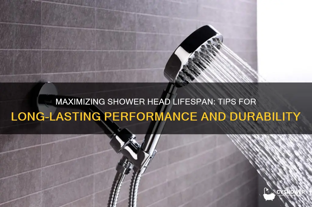 how long does a shower head last
