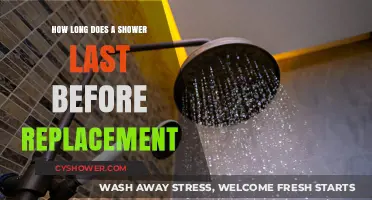 Shower Lifespan: When to Replace Your Shower System