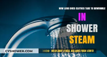 Quick Wrinkle Removal: Shower Steam Time for Dewrinkled Clothes