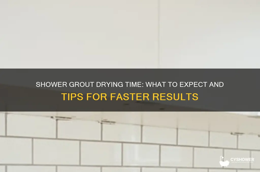 how long does grout take to dry in a shower