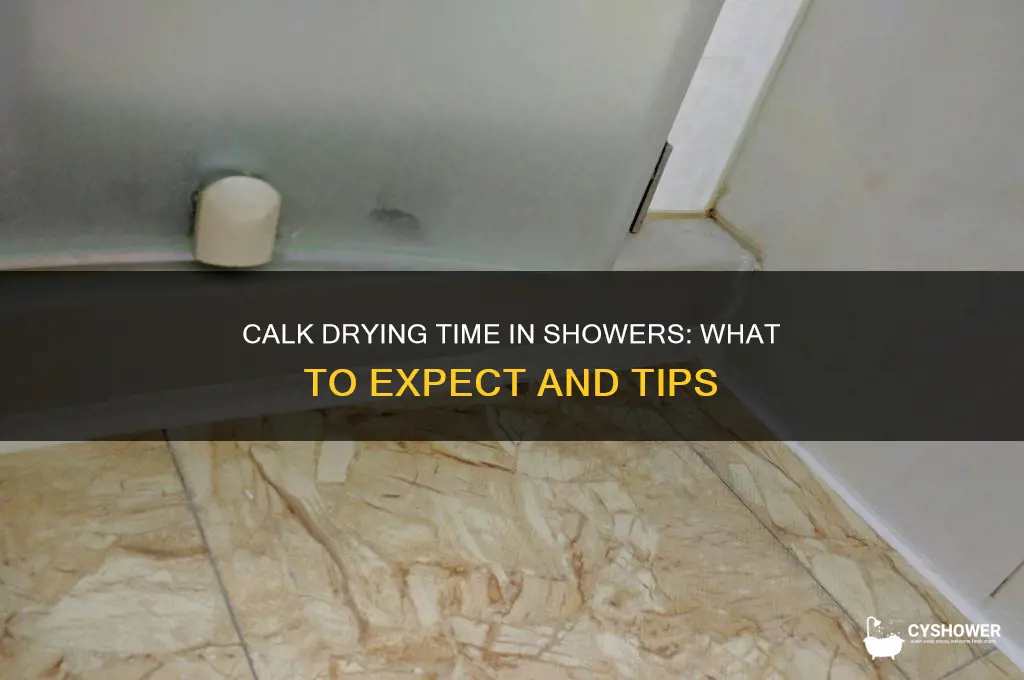 how long does it take calk to dry in shower