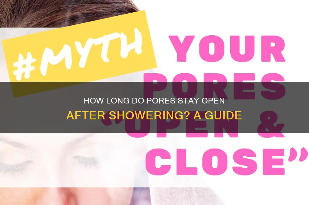 how long does it take pores to close after shower