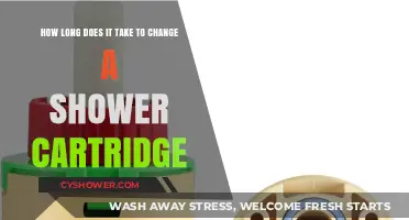 Quick Guide: Shower Cartridge Replacement Time and Tips
