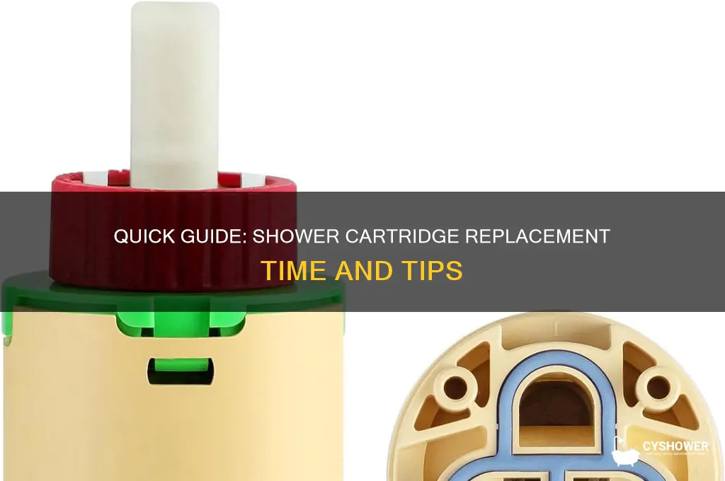 how long does it take to change a shower cartridge
