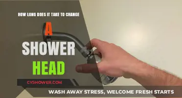 Quick Shower Head Replacement: Timeframe and Simple DIY Steps
