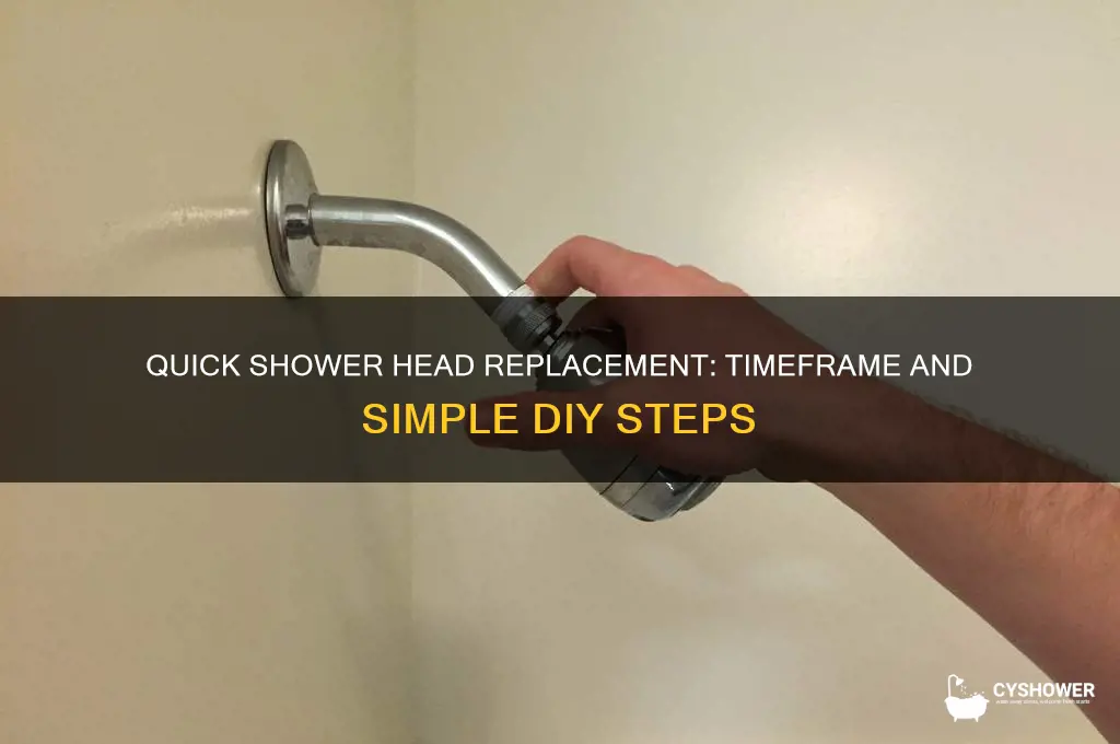how long does it take to change a shower head
