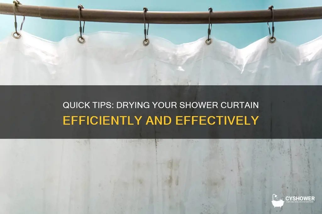 how long does it take to dry a shower curtain