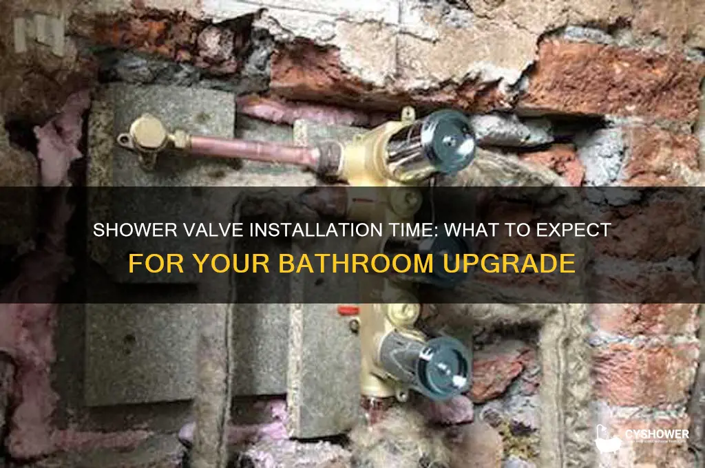 how long does it take to install a shower valv
