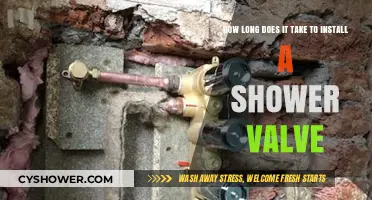 Installing a Shower Valve: Timeframe and Tips for a Smooth Process