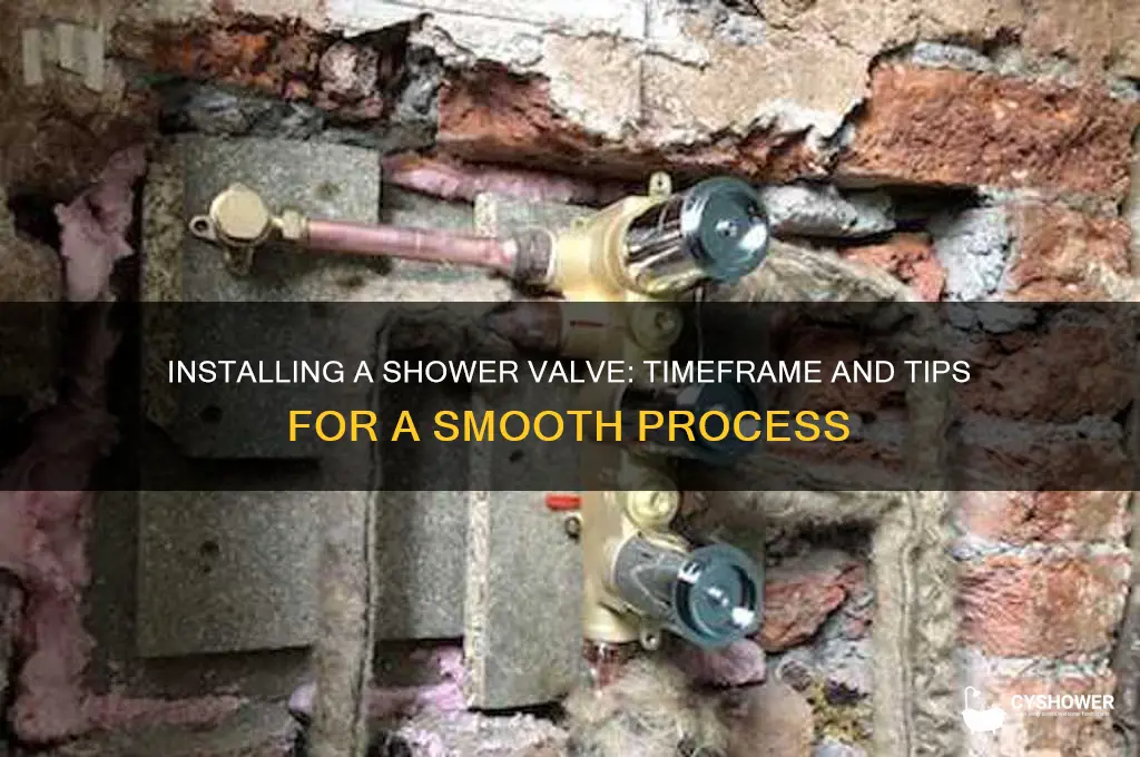 how long does it take to install a shower valve