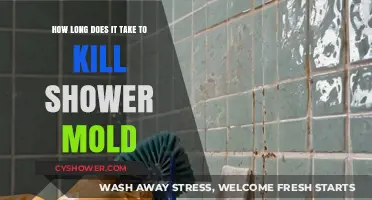 Effective Ways to Eliminate Shower Mold and Prevent Regrowth Quickly