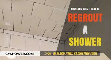 Regrouting a Shower: Timeframe and Tips for a Quick Refresh