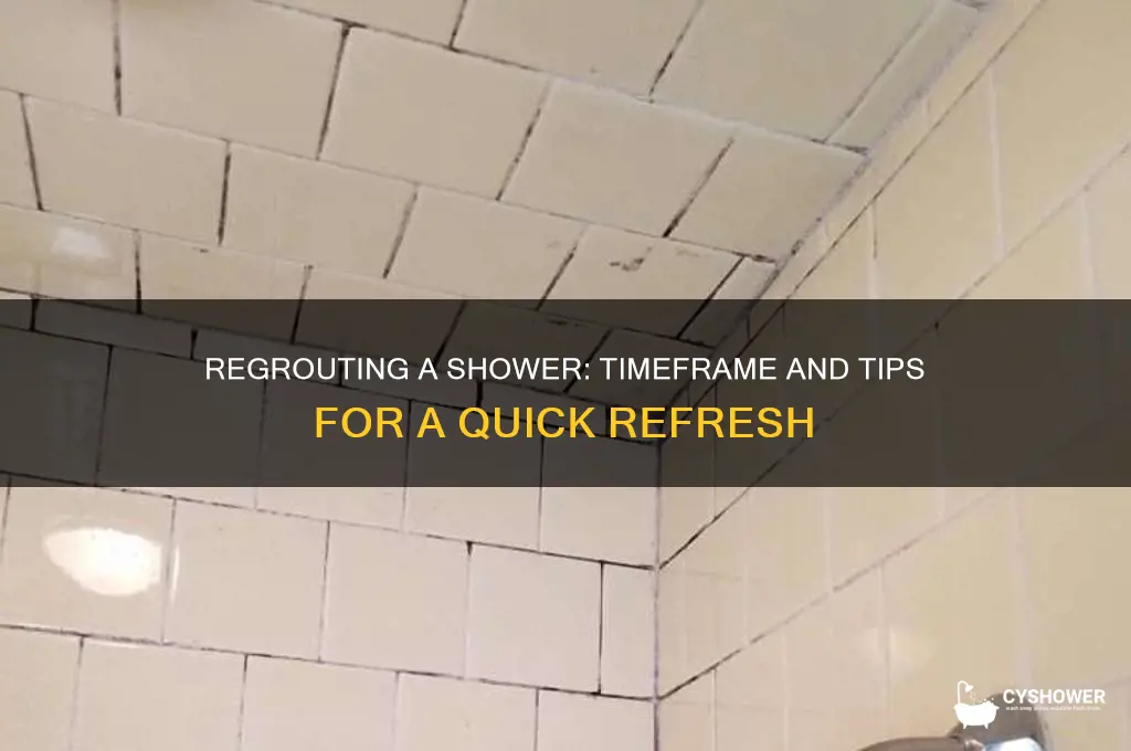 how long does it take to regrout a shower