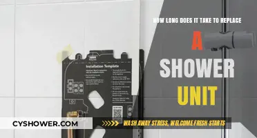 Shower Unit Replacement Timeline: What to Expect During Installation