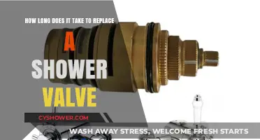 Replacing a Shower Valve: Timeframe and Tips for a Smooth Upgrade