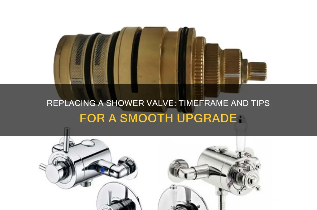 how long does it take to replace a shower valve
