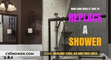 Shower Replacement Timeline: What to Expect During the Process