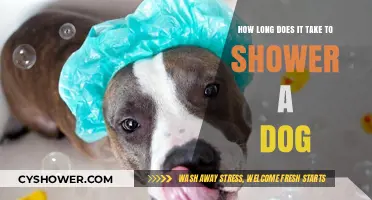 Quick Dog Bathing Tips: How Long Should a Dog Shower Take?