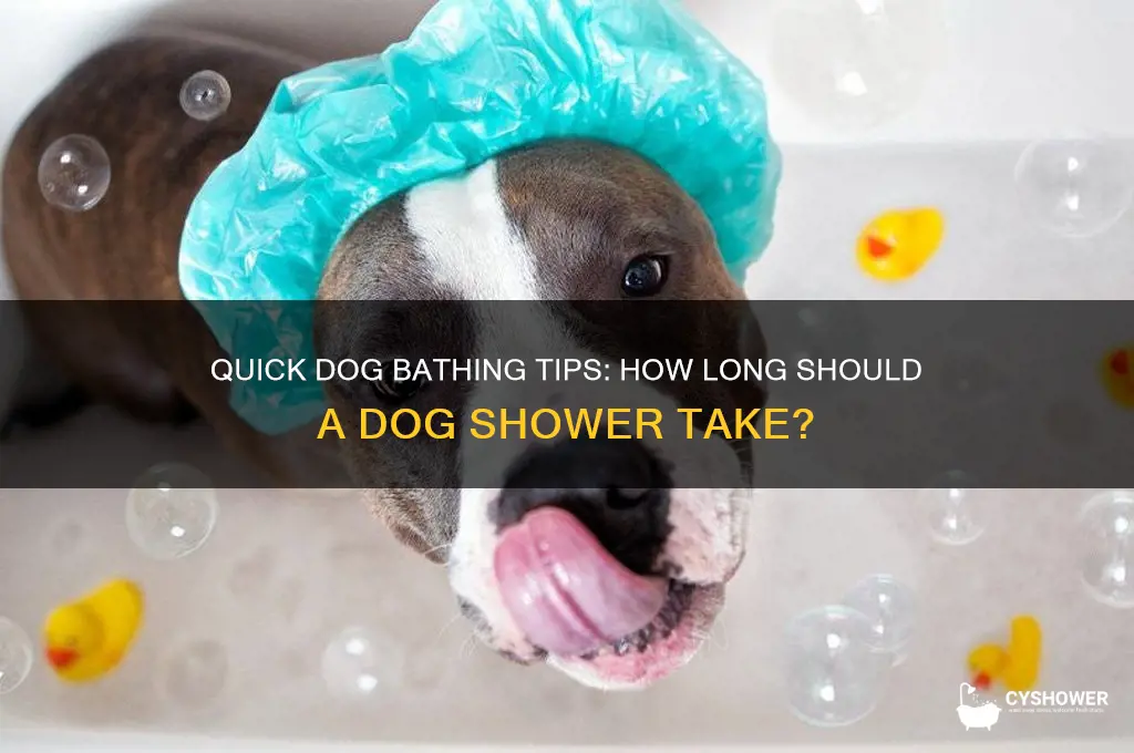 how long does it take to shower a dog