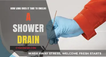 Quick Fixes: Unclogging Your Shower Drain in Record Time