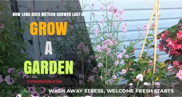 Meteor Shower Duration: Gardening Under the Night Sky's Celestial Show