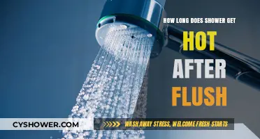 How Long Does It Take for Shower Water to Heat Up After Flushing?
