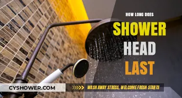 Shower Head Lifespan: Factors Affecting Durability and Replacement Timing