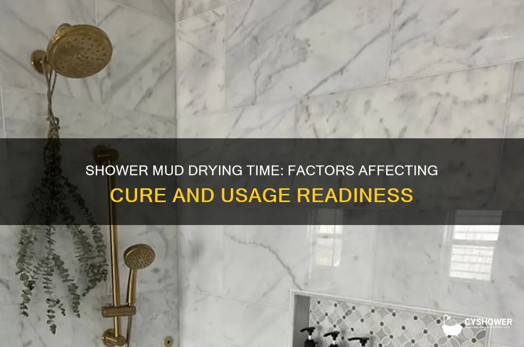 how long does shower mud take to dry
