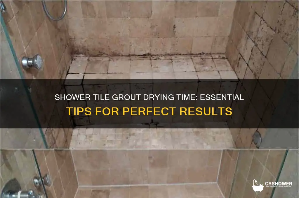 how long does shower tile grout need to dry