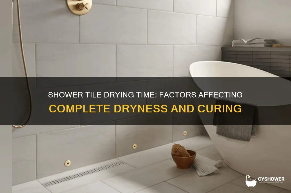 how long does shower tile take to dry