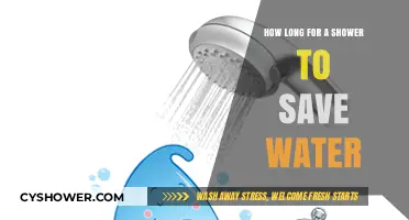 Efficient Showering: Tips to Save Water and Time Daily