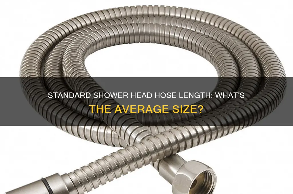 how long is standard shower head hose
