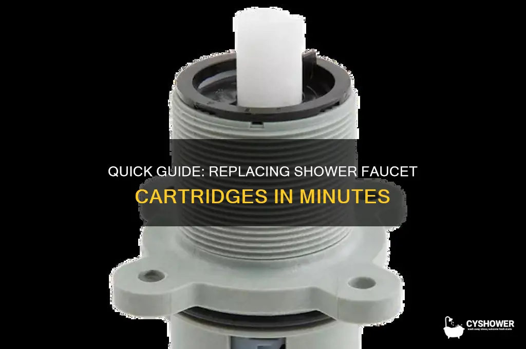 how long it takes to replace cartridges in shower faucet