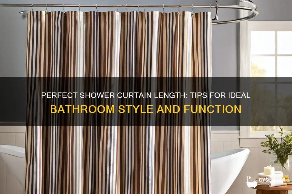 how long should a shower curtain hang
