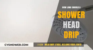 How Long is Normal for a Shower Head to Drip?