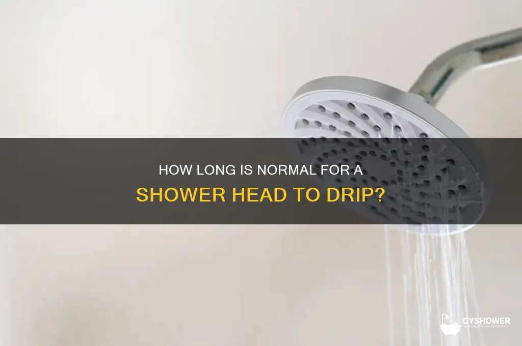 how long should a shower head drip