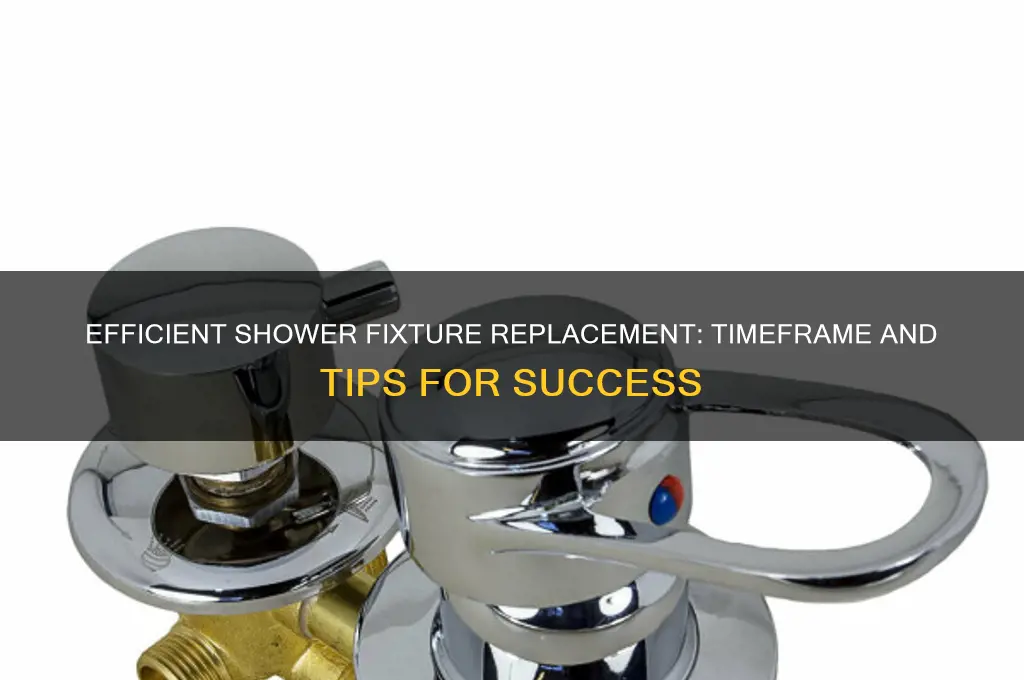 how long should it take to replace shower fixtures