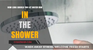 Optimal Shower Warm-Up: How Long to Run Water Efficiently