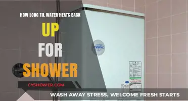 Shower Time: How Long Does Water Reheat After Use?